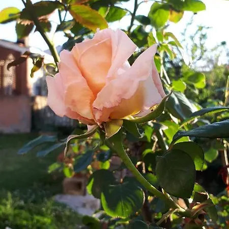 Casa Di Giulia *