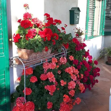 Casa Di Giulia Apartment Santa Luce