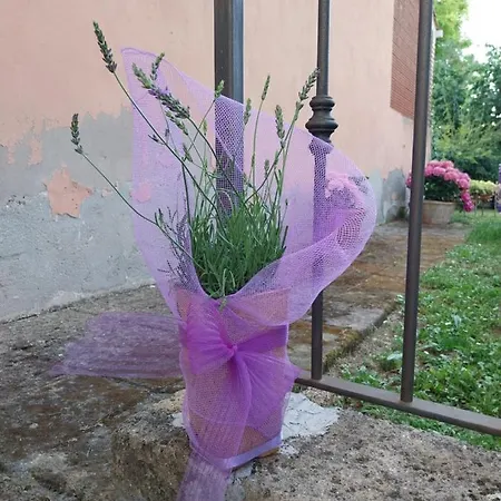 Casa Di Giulia דירה *