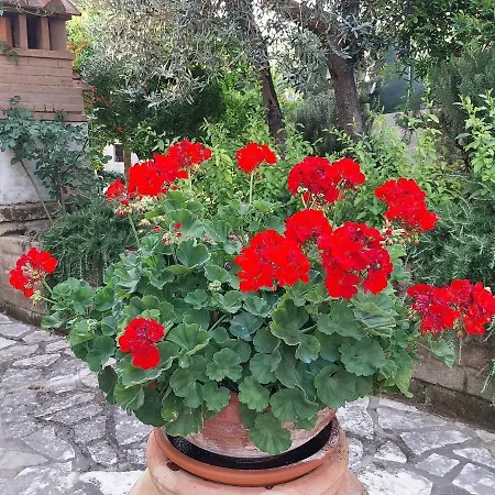 Casa Di Giulia *