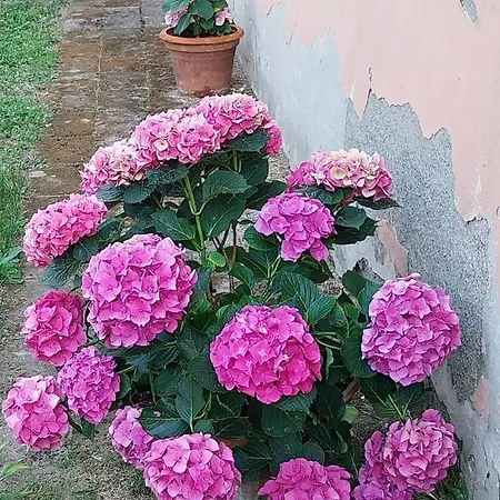 Casa Di Giulia