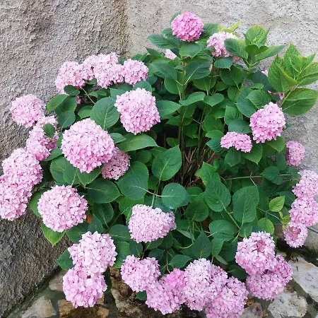 アパート Casa Di Giulia *