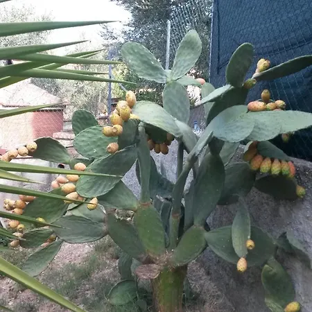 דירה Casa Di Giulia סנטה לוצ'ה