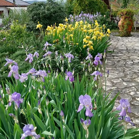 Casa Di Giulia 산타루체