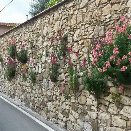 Casa Di Giulia דירה