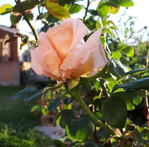 Casa Di Giulia *