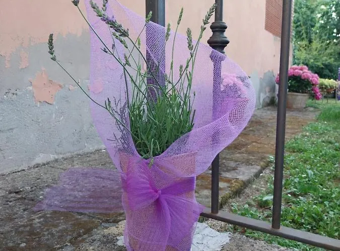 Casa Di Giulia 아파트 *