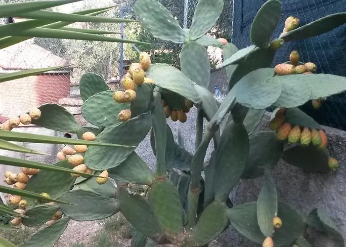 아파트 Casa Di Giulia 산타루체