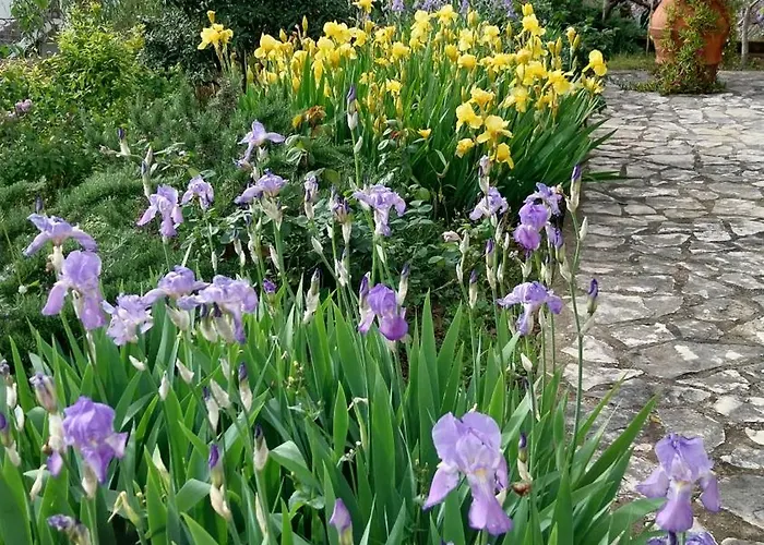 Casa Di Giulia 산타루체