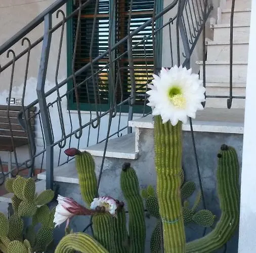 Casa Di Giulia 산타루체